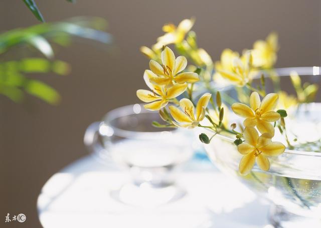 商標(biāo)用得好，年年都賺錢