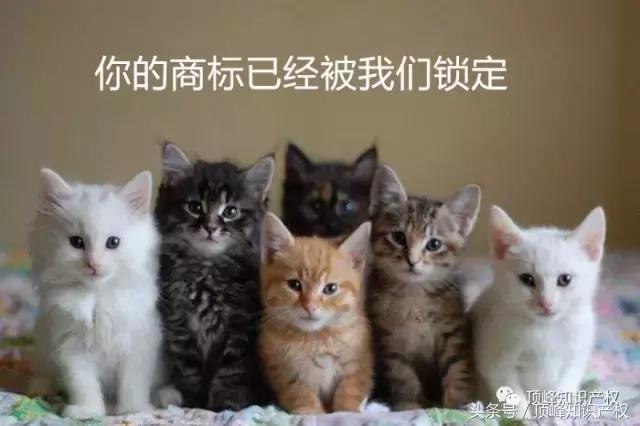 為什么要申請“奇葩”商標？