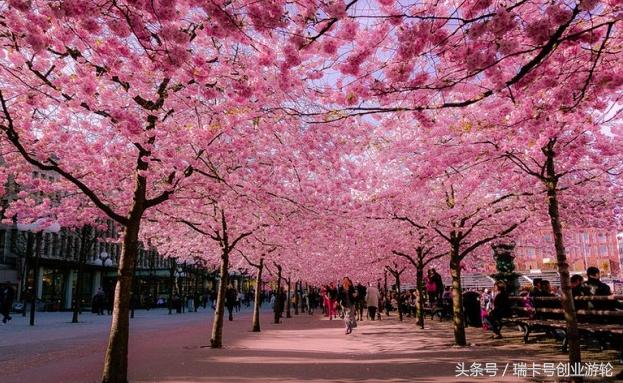 2017日本注冊公司新流程及所需費用