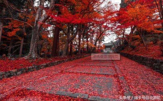 2017日本注冊公司新流程及所需費用